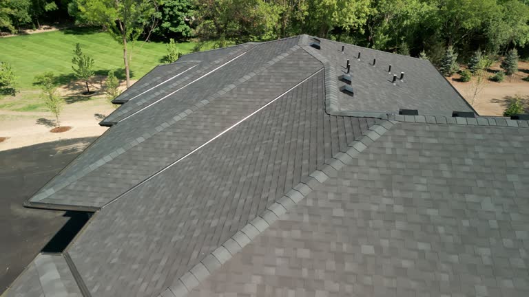 Professional Roofing in Palatine, IL