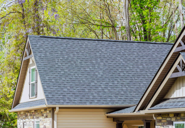 Skylights in Palatine, IL